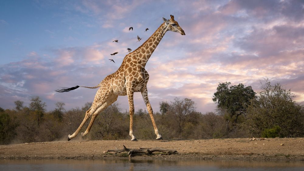 I suspect I will need more runway