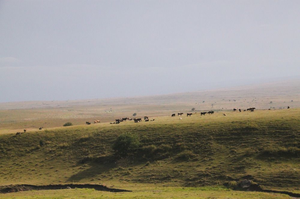 Photograph by Neka Odimi