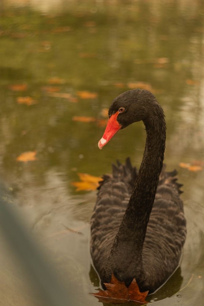 Photograph by Татьяна Черналецкая