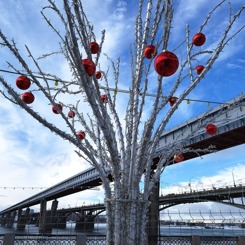 Photograph by Ирина Попелкова