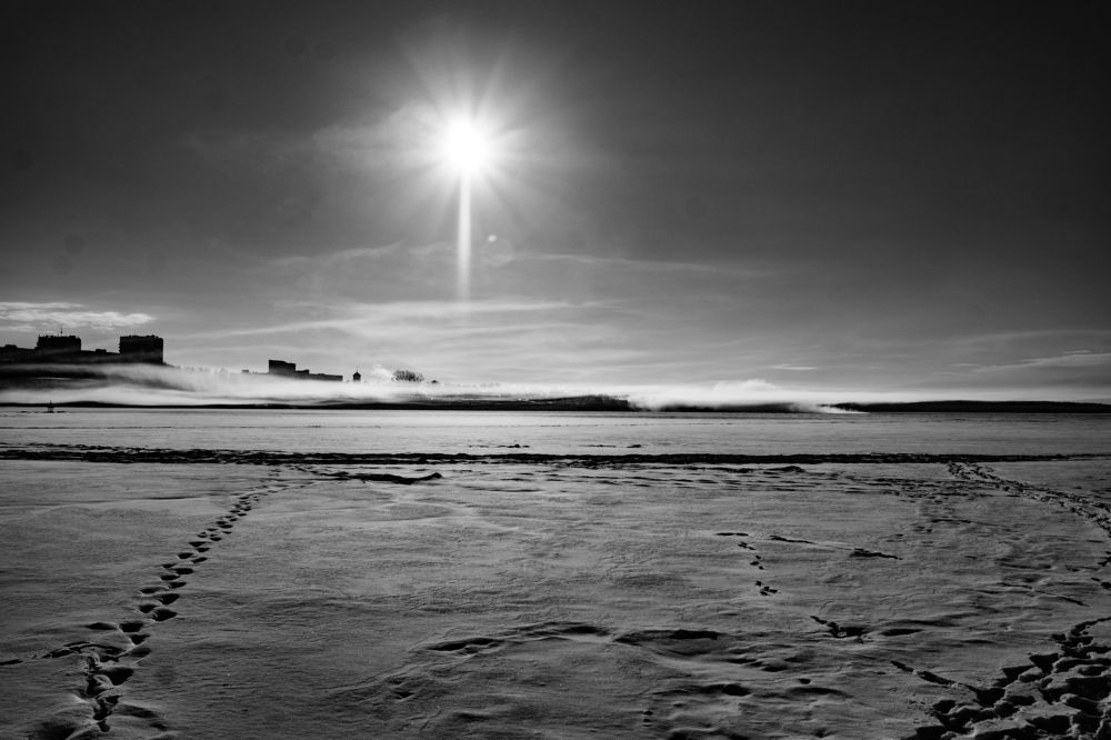 Photograph by Nikita Ostarkov