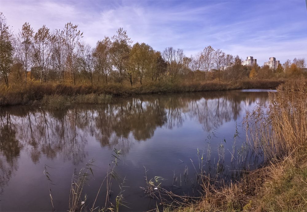 Улетели листья с тополей ...