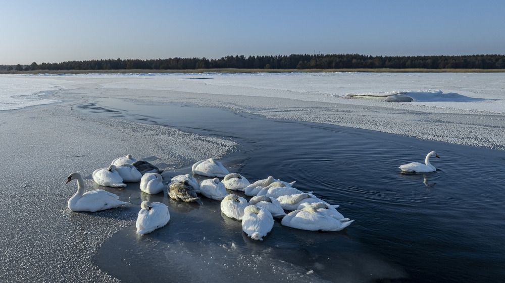 Photograph by Danil Husainov