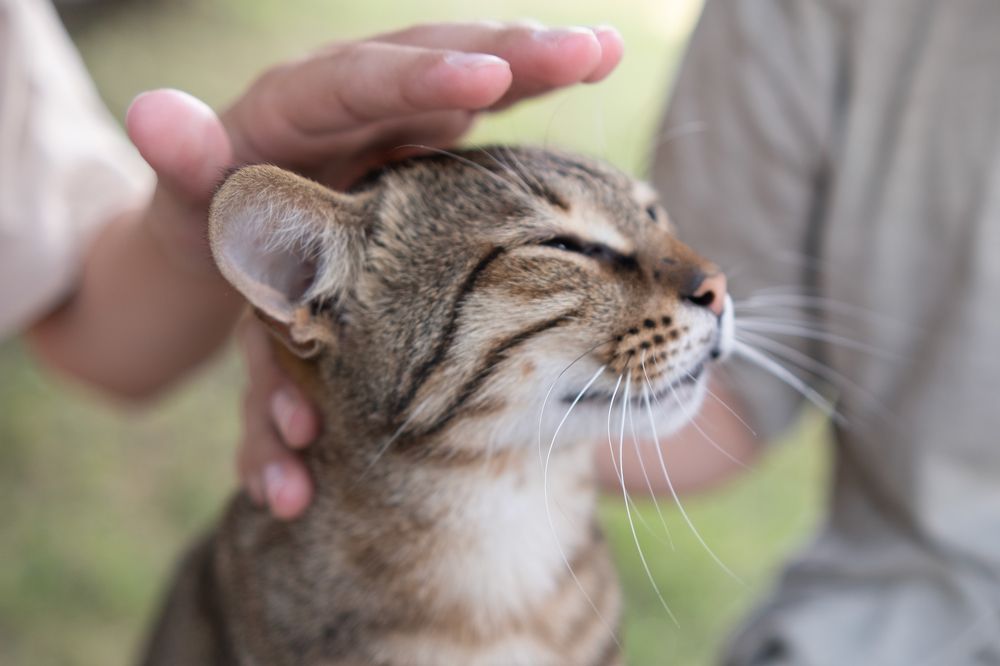 Photograph by Екатерина Кваша