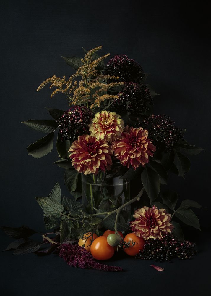 still life with dahlias, tomatoes and elderberries