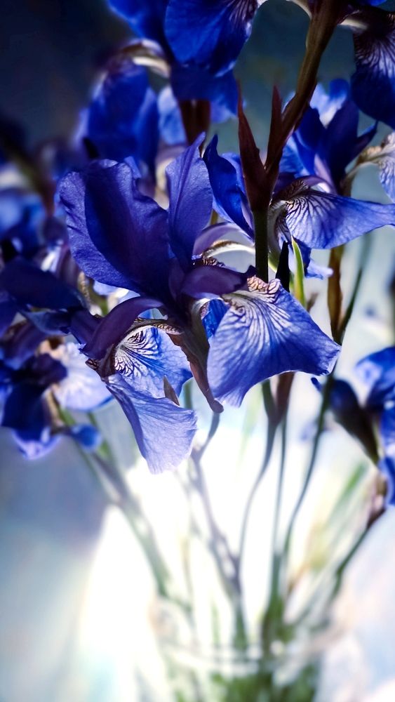 Photograph by Олеся Лосыгина