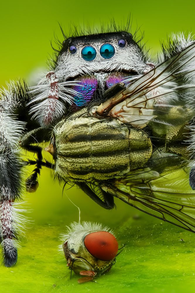 Photograph by Tran The Ngoc