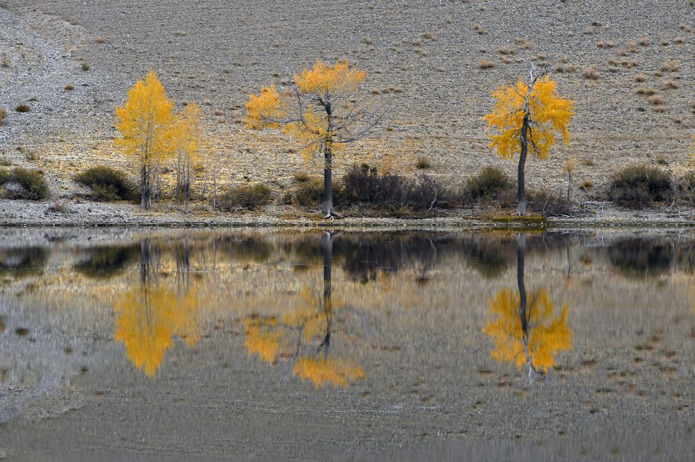 Photograph by Светлана Крат