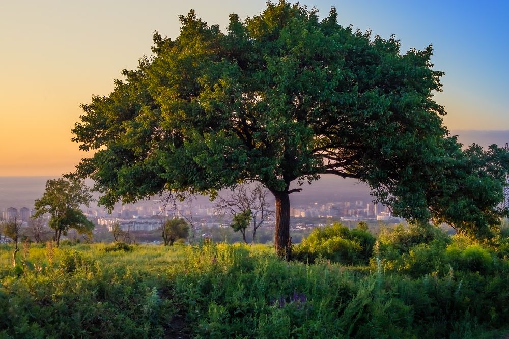 Photograph by Konstantin