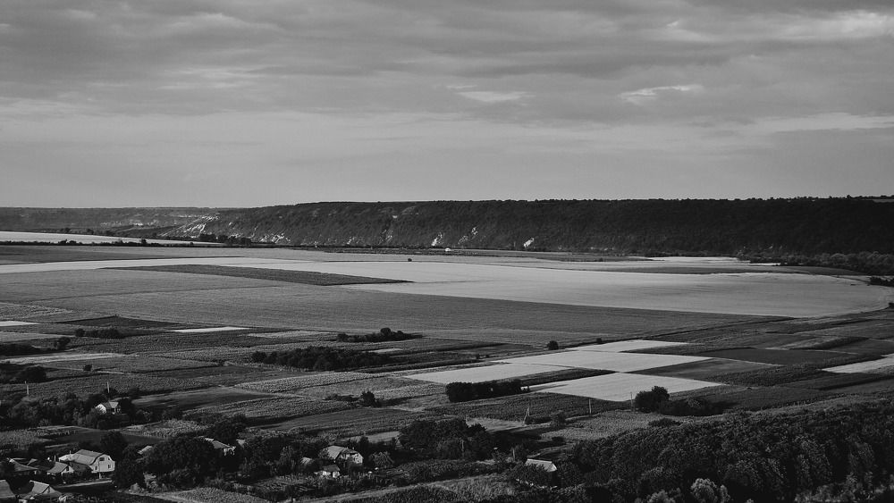 Photograph by Zdarova Natasha