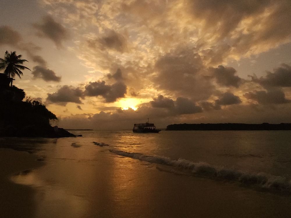 Фотография автора OSMIR ZANETTE