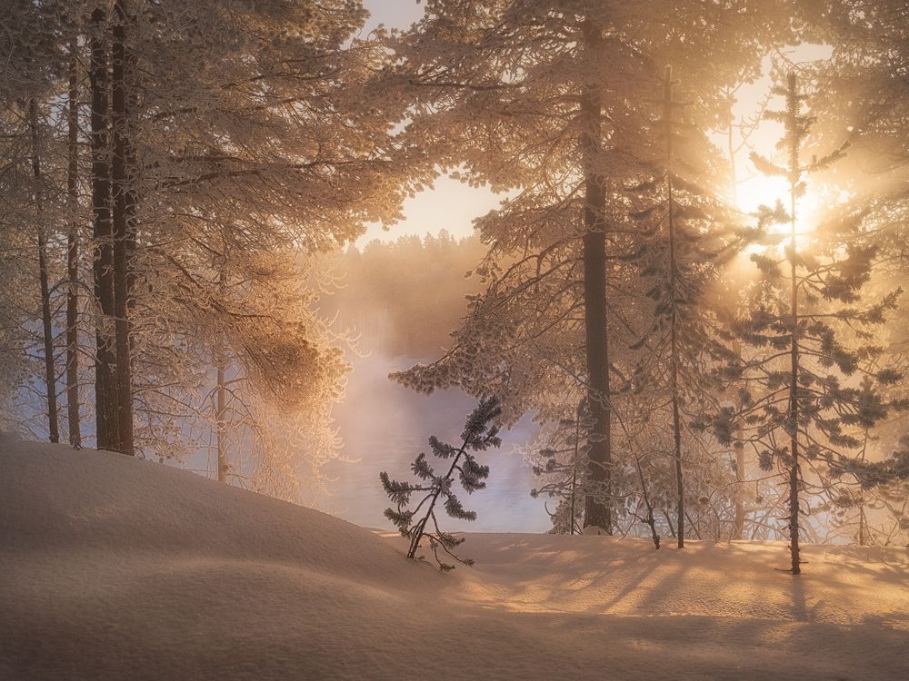 Фотография автора Dmitry Medyancev