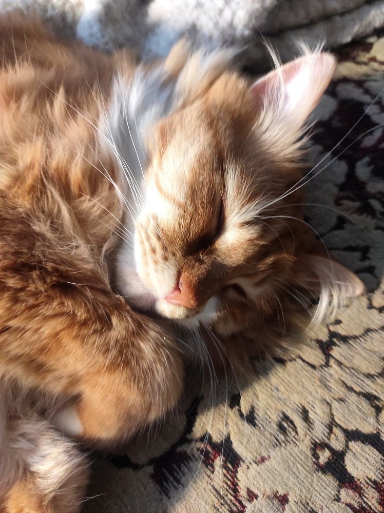 Photograph by Светлана Башаева