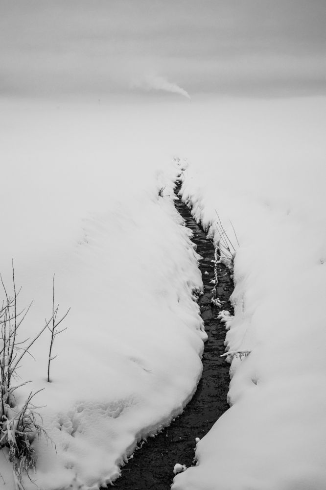 Photograph by Мария Федорова