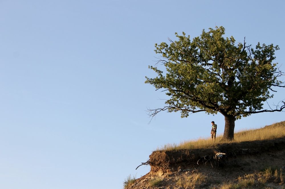 Фотография автора Елена Чиликина