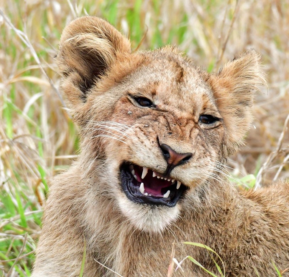 Photograph by Michelle Storm