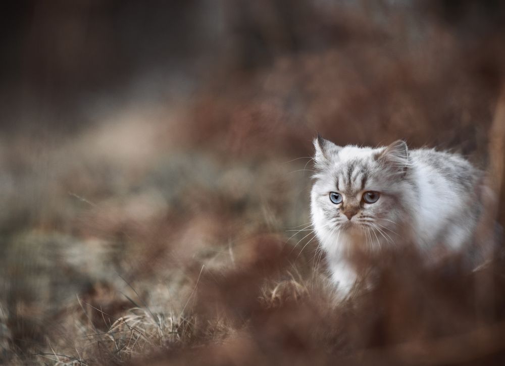 Photograph by Linda Persson