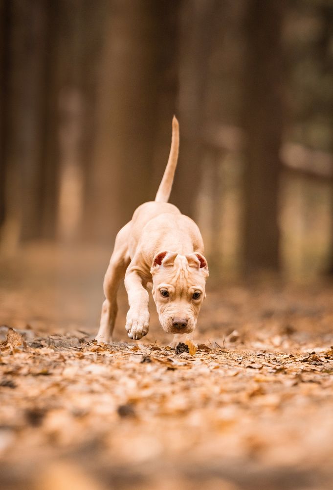 Photograph by Софья Евгеньевна