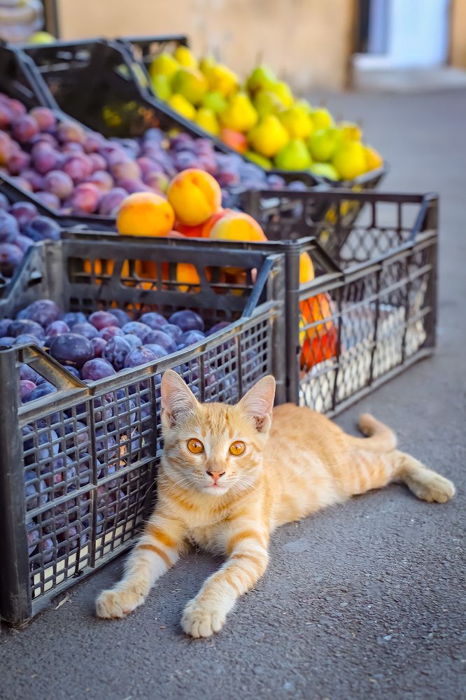 Photograph by Дарья Попова