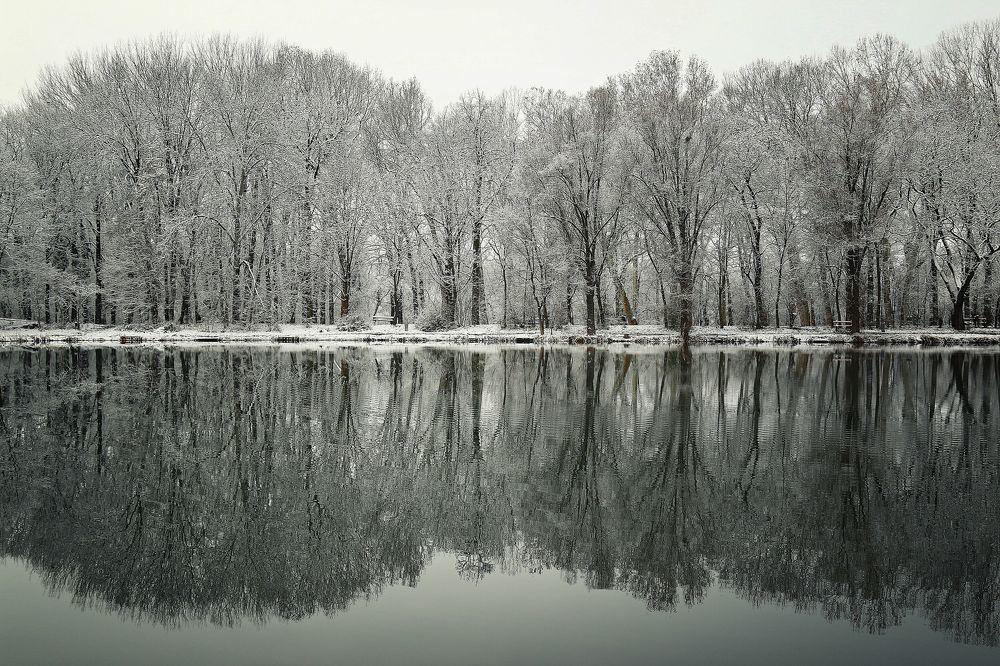 Photograph by Eperjessy Adrian