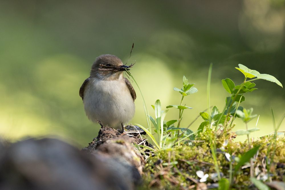 Photograph by Egor Rokita