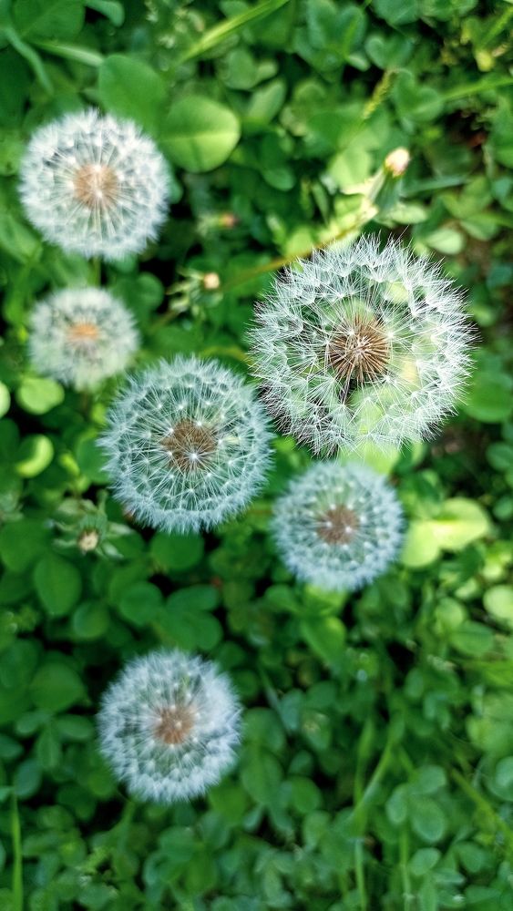 Photograph by Murtaza Rashid