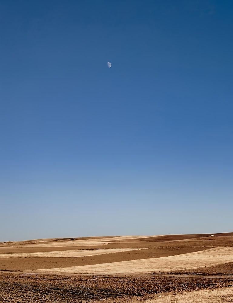 Фотография автора bahar td