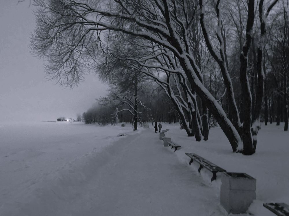 Photograph by Vera Vakhova