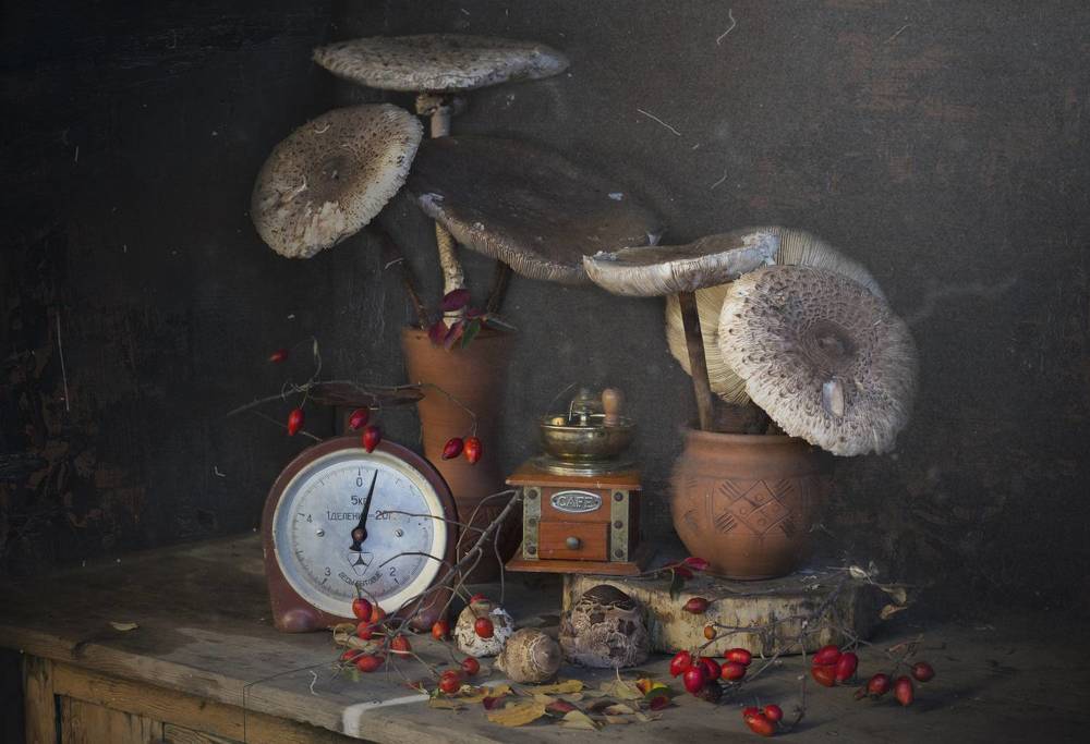 Photograph by Зимина Лионелла