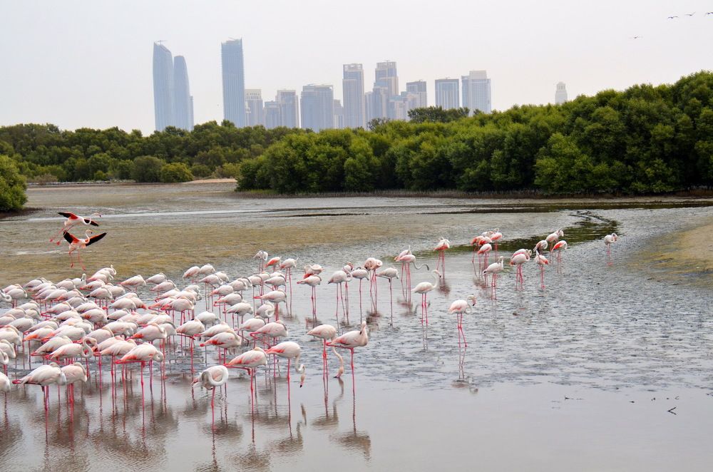 Photograph by Вера Платонова