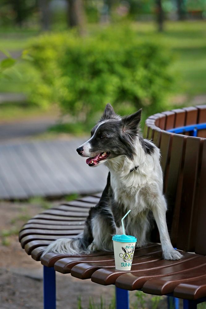 Photograph by Аркадий Ишимов