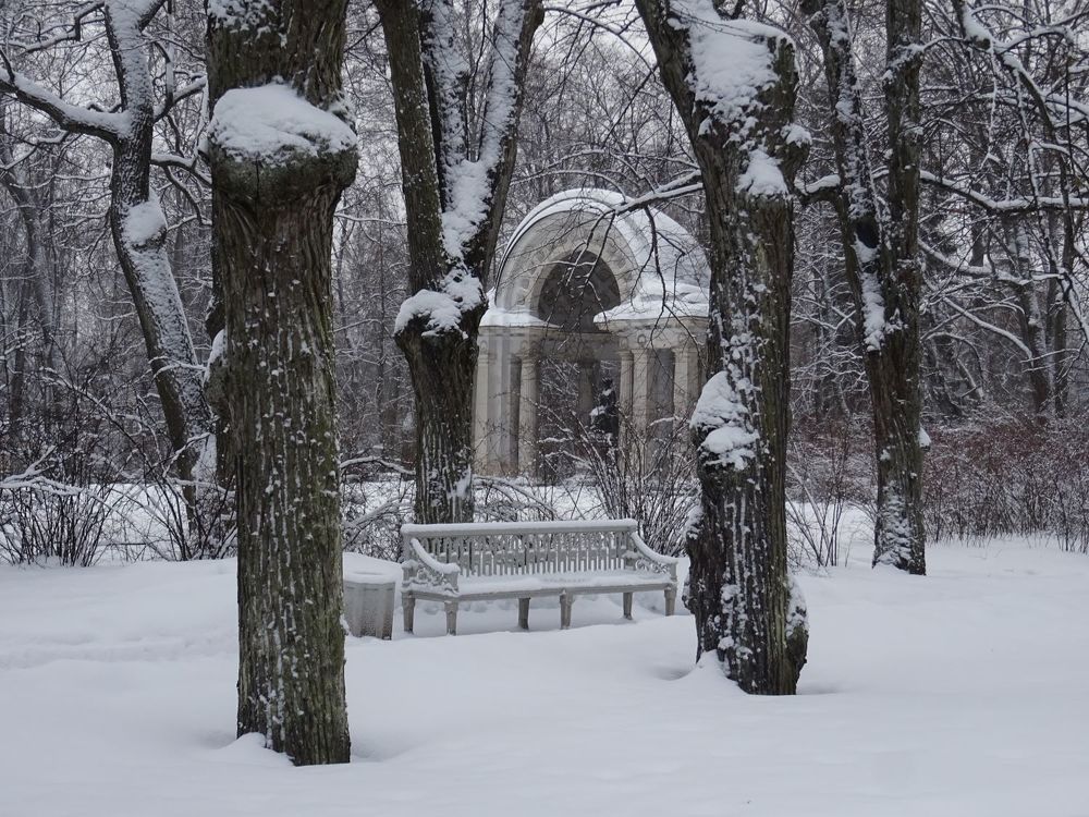 Photograph by Vera Vakhova