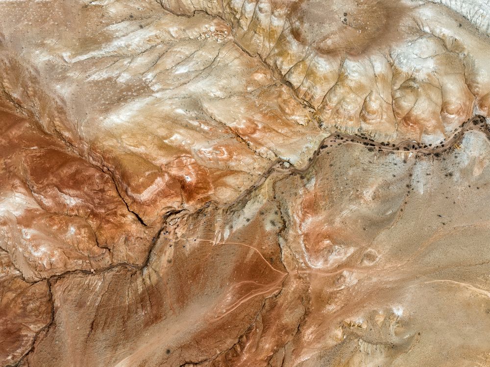 Photograph by Alex Parfenov