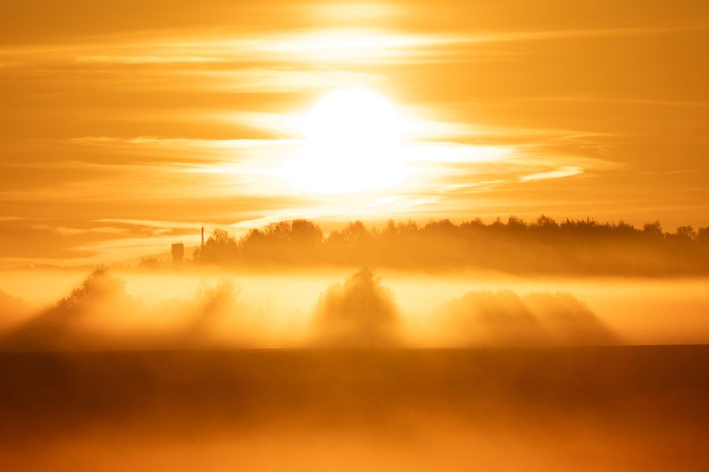 Photograph by Егор Рокита