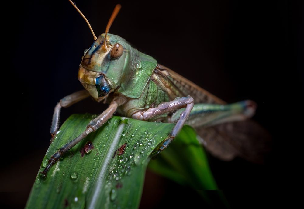 Фотография автора Константин Яковлев