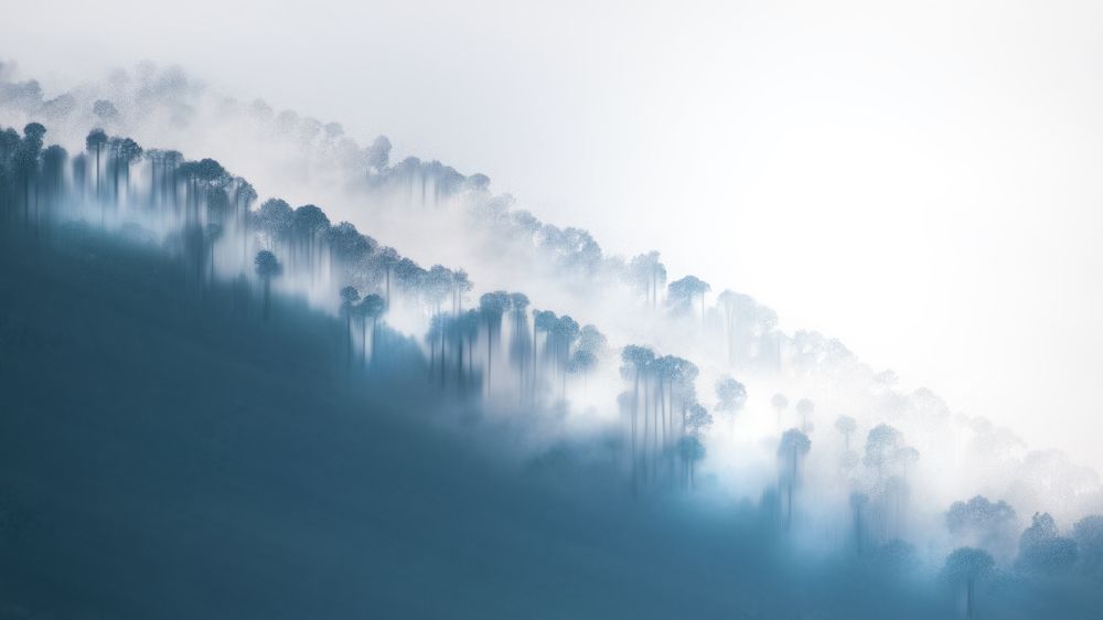 Photograph by Ahmed Fareed