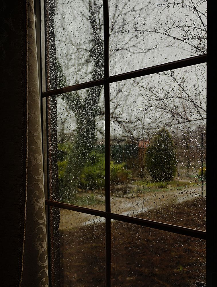 Photograph by Ольга Бакурская