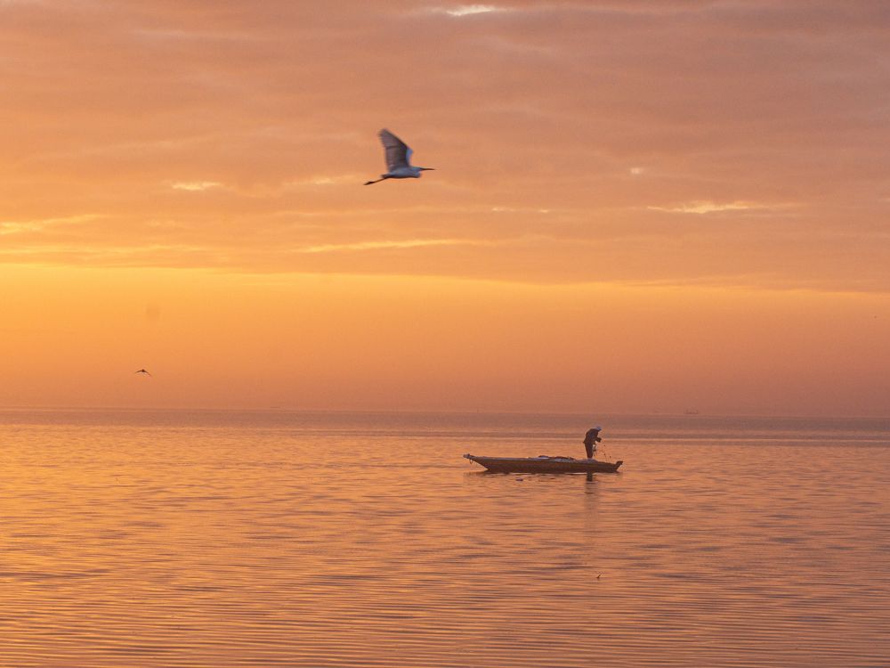 Photograph by Mohammed Abuelgasim