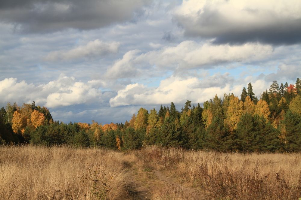 Фотография автора Анастасия Зверева