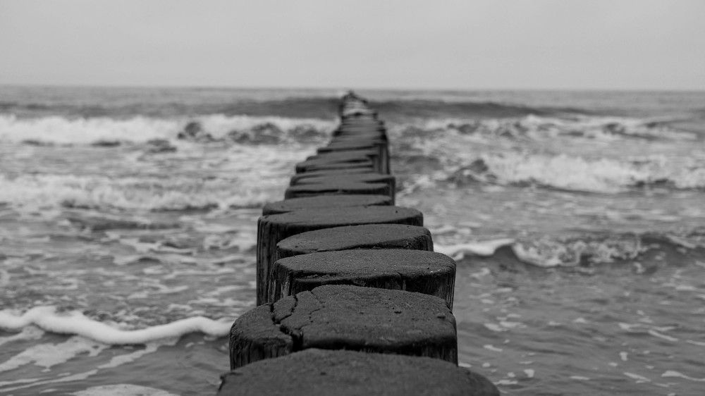 Photograph by Andry Tarasov
