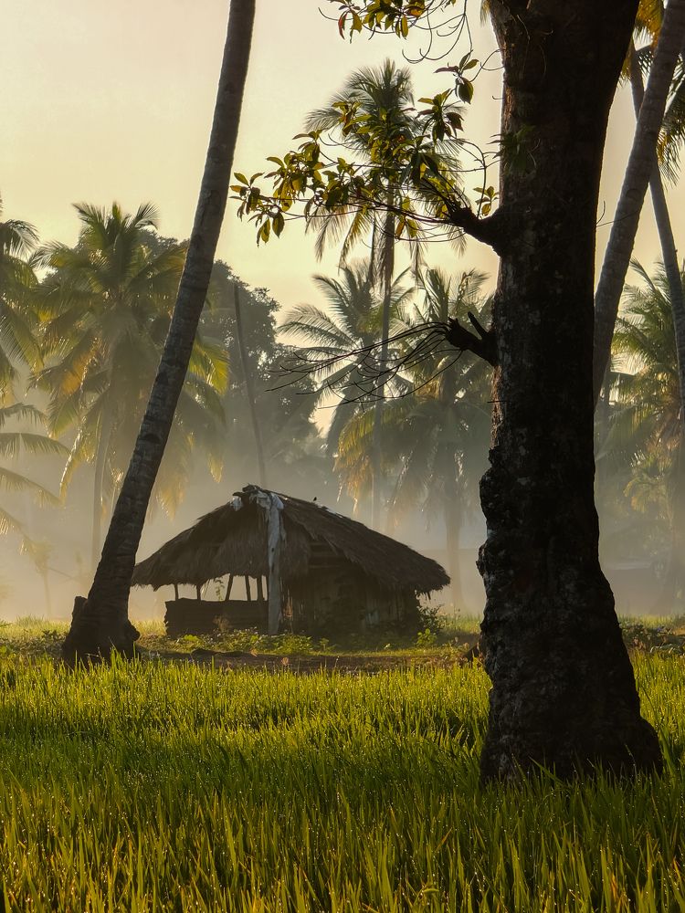 Photograph by Suryati Yati