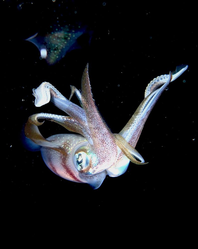 Photograph by Александр