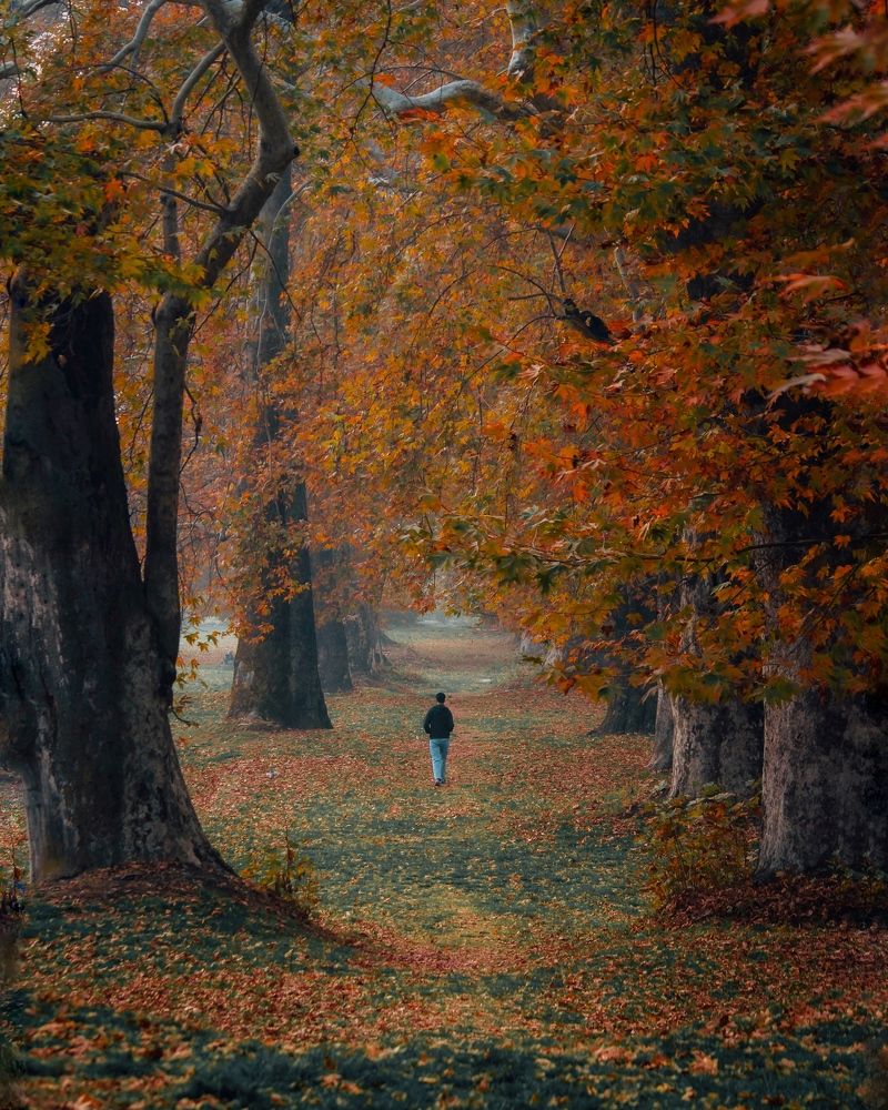 Photograph by Bhatt Muxamil