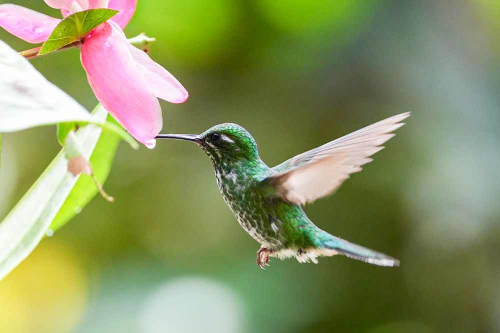 Фотография автора Jian Ma