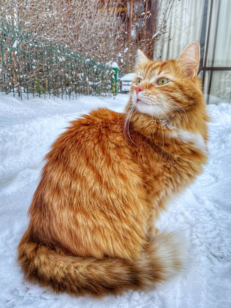 Photograph by Светлана Медведева