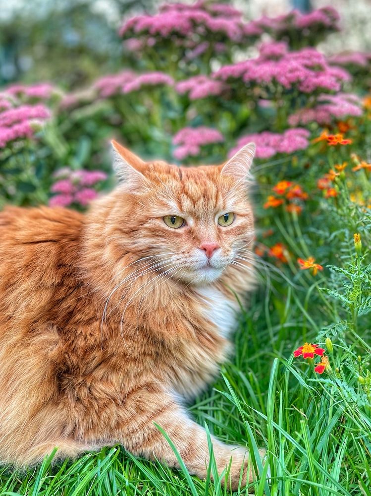 Photograph by Светлана Медведева