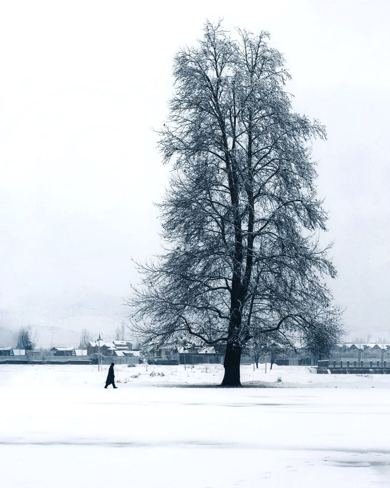 Photograph by Bhatt Muxamil