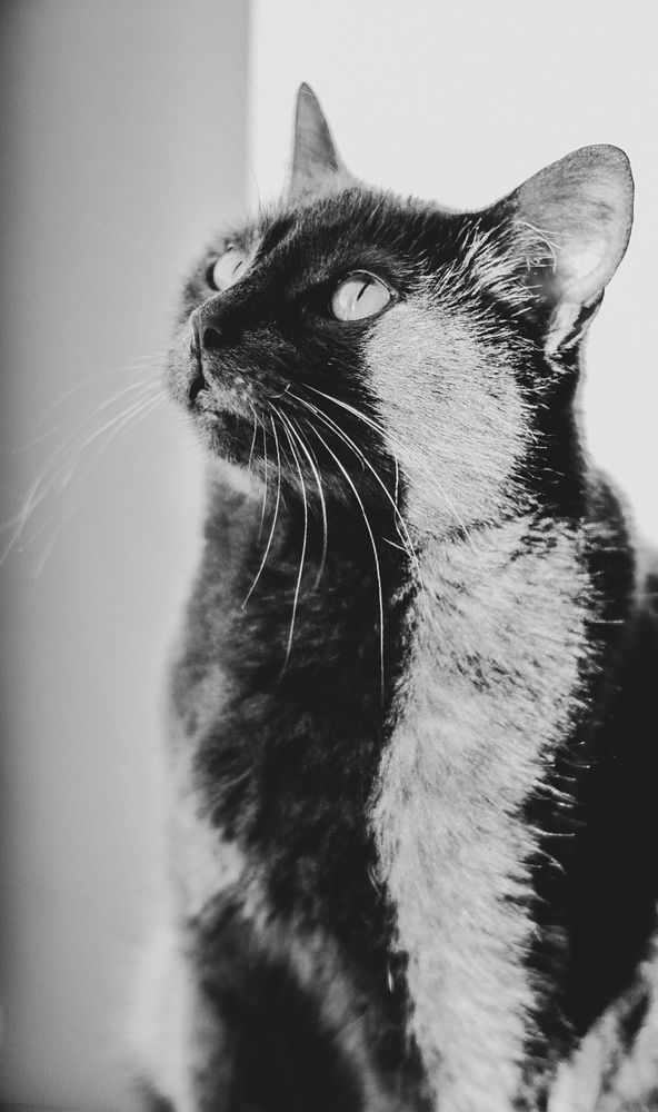 Photograph by Марина Халатова