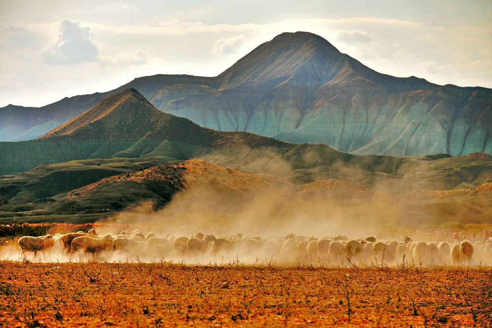 Photograph by Bekir Yesiltas