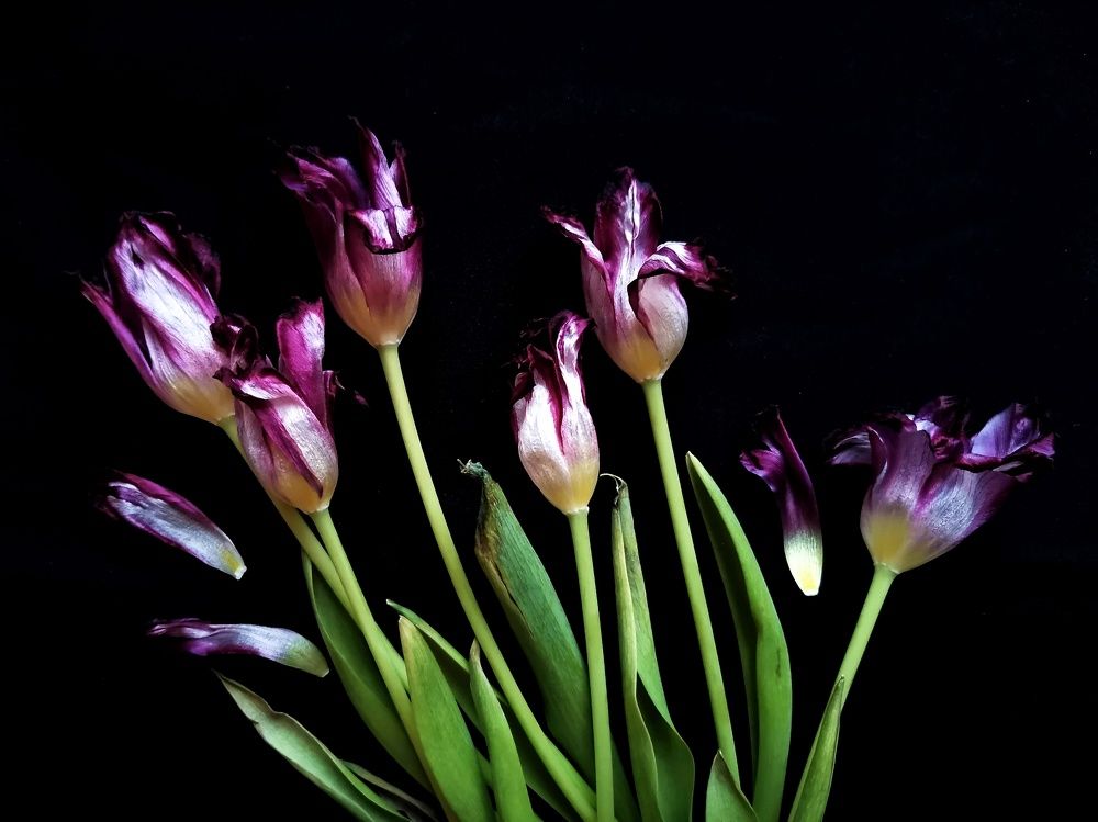 Photograph by Анна Кош